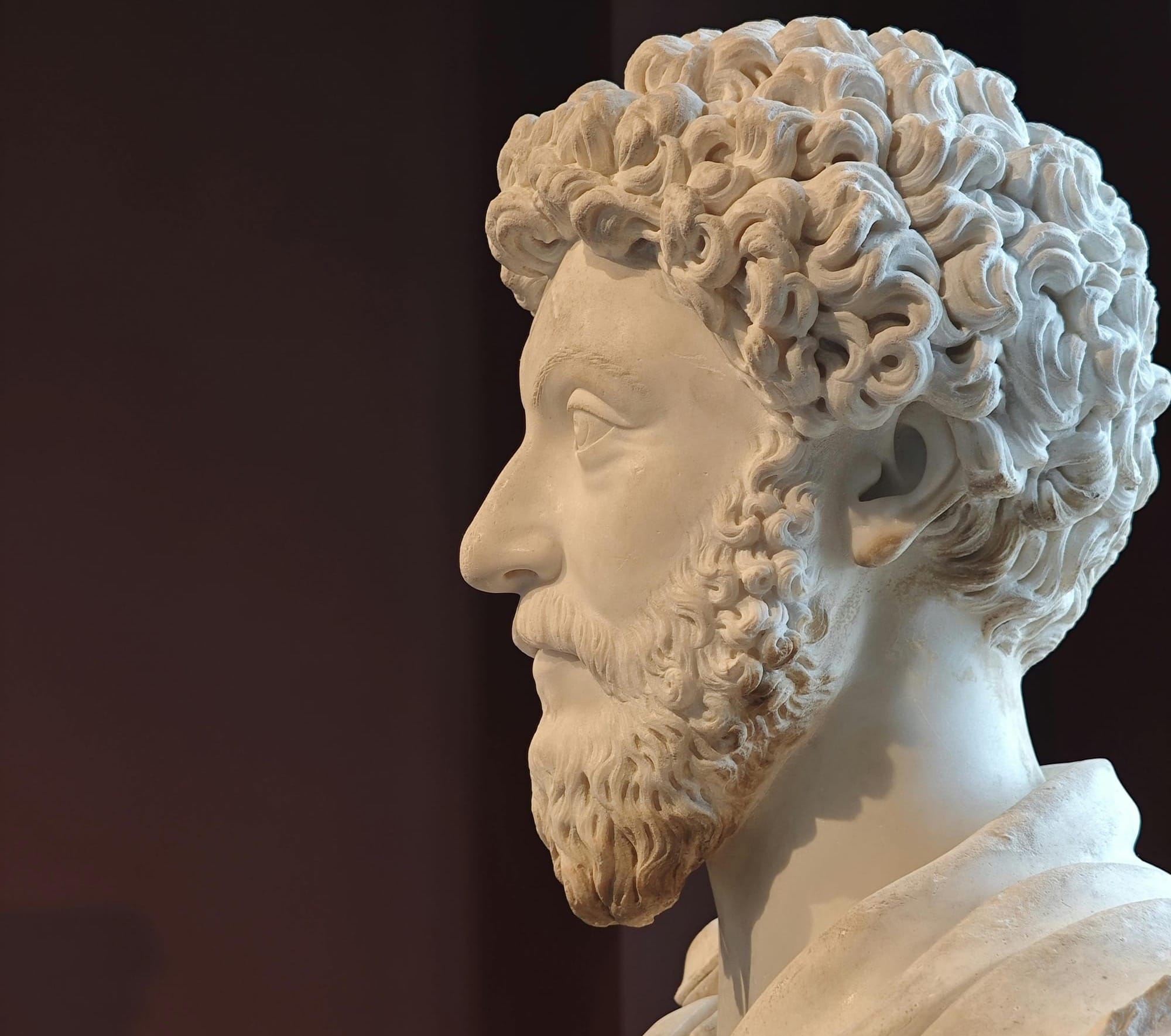 Side View of Marcus Aurelius Bust